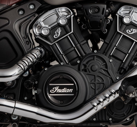 95 entfesselte Pferde